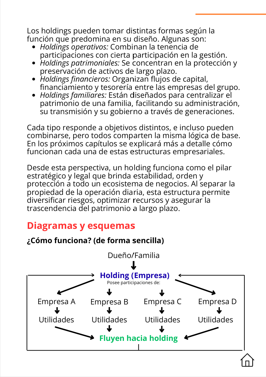 Página del capítulo de Holdings con los cuatro tipos de holding y un diagrama donde Dueño/Familia controla el holding, que posee las empresas A, B, C y D, cuyas utilidades fluyen hacia el holding.
